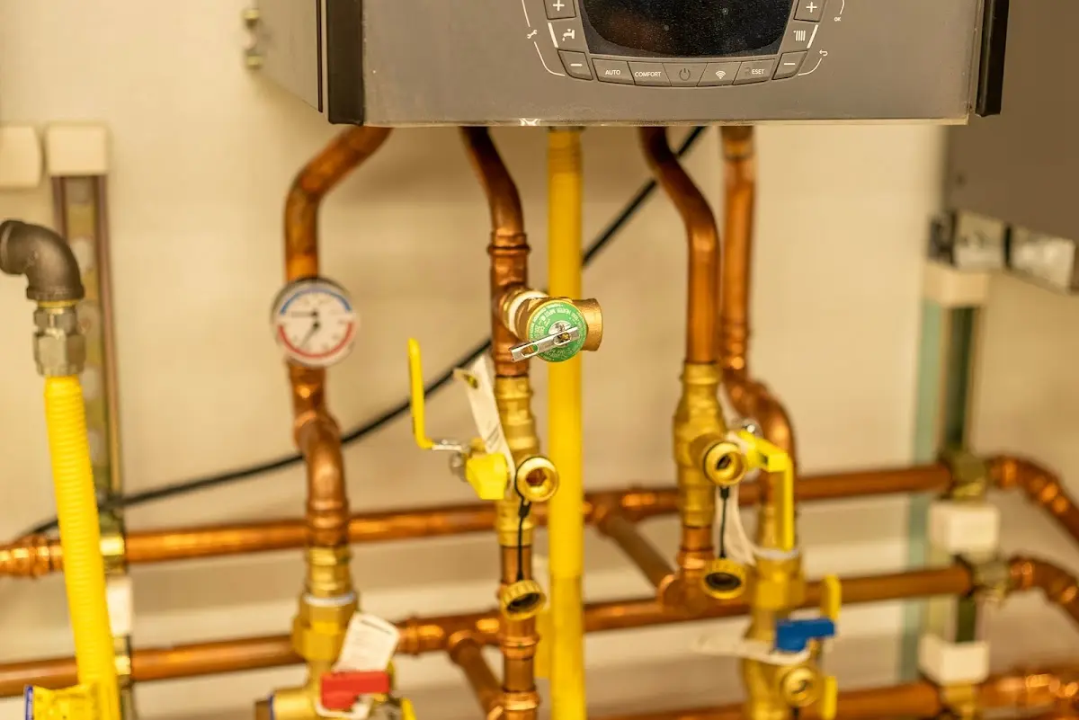 Licensed technician providing Sewer Cleanout for a homeowner in St. Petersburg